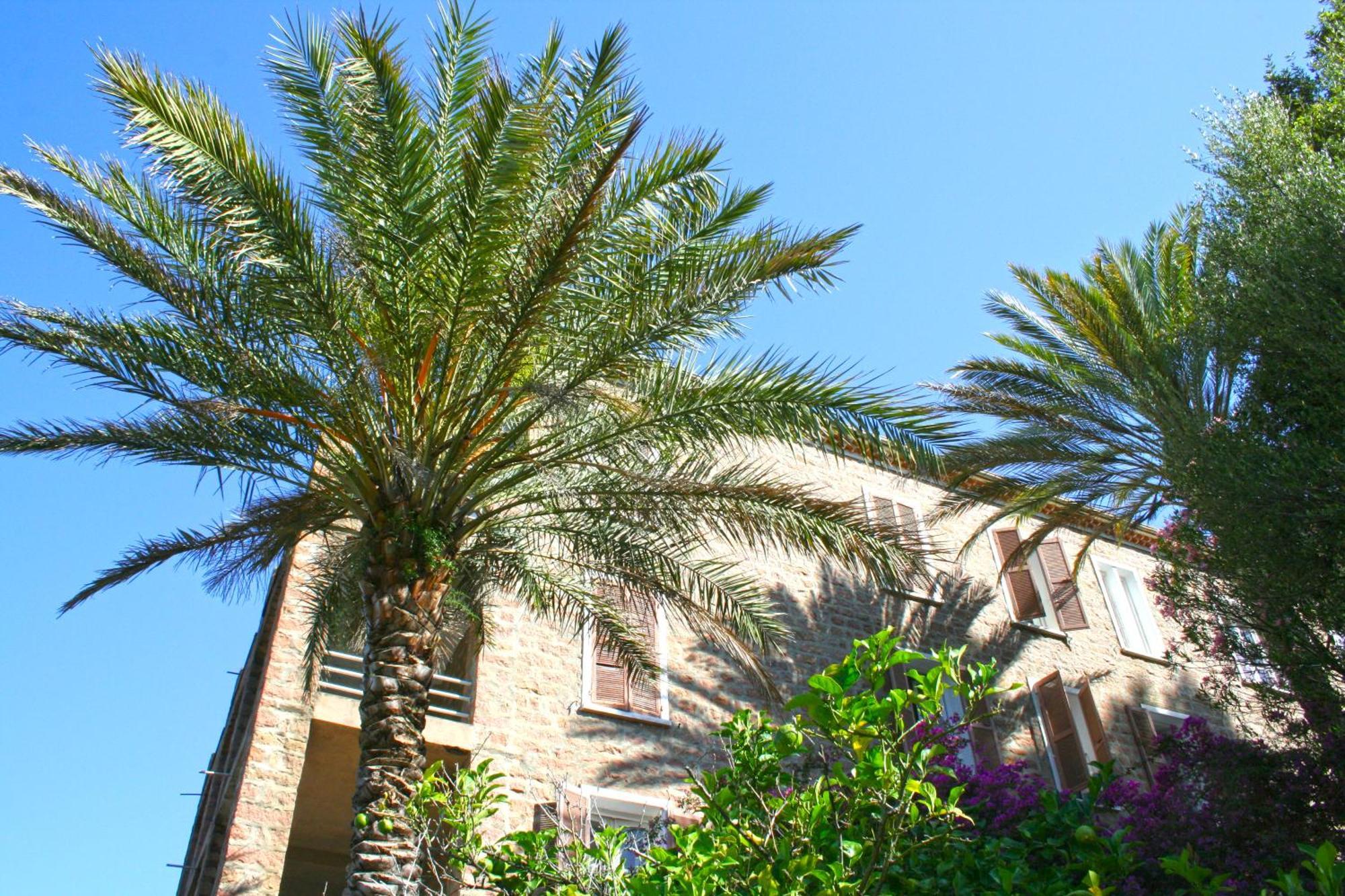 Hotel Colombo Porto (Corsica)